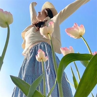 老虎连